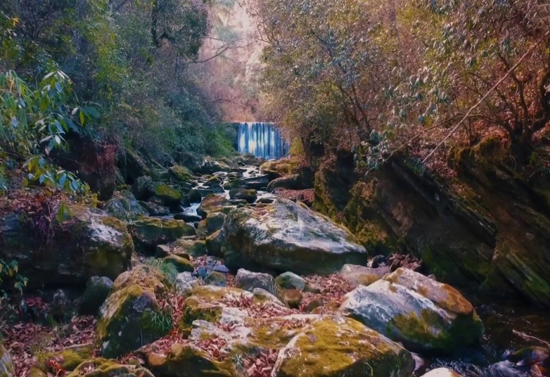 Image Listing